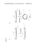 Paired end sequencing diagram and image