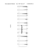 Method and kit for identification of genetic polymorphisms diagram and image