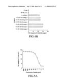 MAGE-C2 antigenic peptides and uses therefor diagram and image