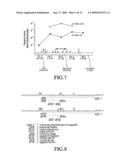 MAGE-C2 antigenic peptides and uses therefor diagram and image