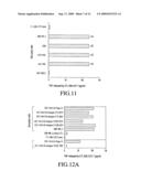 MAGE-C2 antigenic peptides and uses therefor diagram and image