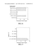 MAGE-C2 antigenic peptides and uses therefor diagram and image