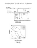 MAGE-C2 antigenic peptides and uses therefor diagram and image