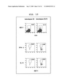 METHOD FOR ANALYSIS OF NKT CELL FUNCTION diagram and image