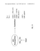 MULTIPOTENT ADULT STEM CELLS AND METHODS FOR ISOLATION diagram and image