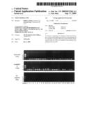 Tissue bioreactor diagram and image