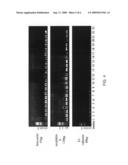 Tissue bioreactor diagram and image