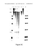 ALLELE SUPPRESSION diagram and image