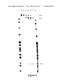 ALLELE SUPPRESSION diagram and image