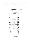 ALLELE SUPPRESSION diagram and image