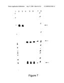 ALLELE SUPPRESSION diagram and image