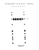 ALLELE SUPPRESSION diagram and image