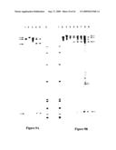 ALLELE SUPPRESSION diagram and image