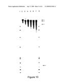 ALLELE SUPPRESSION diagram and image