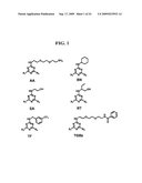 Prostaglandin Transporter Inhibitors diagram and image