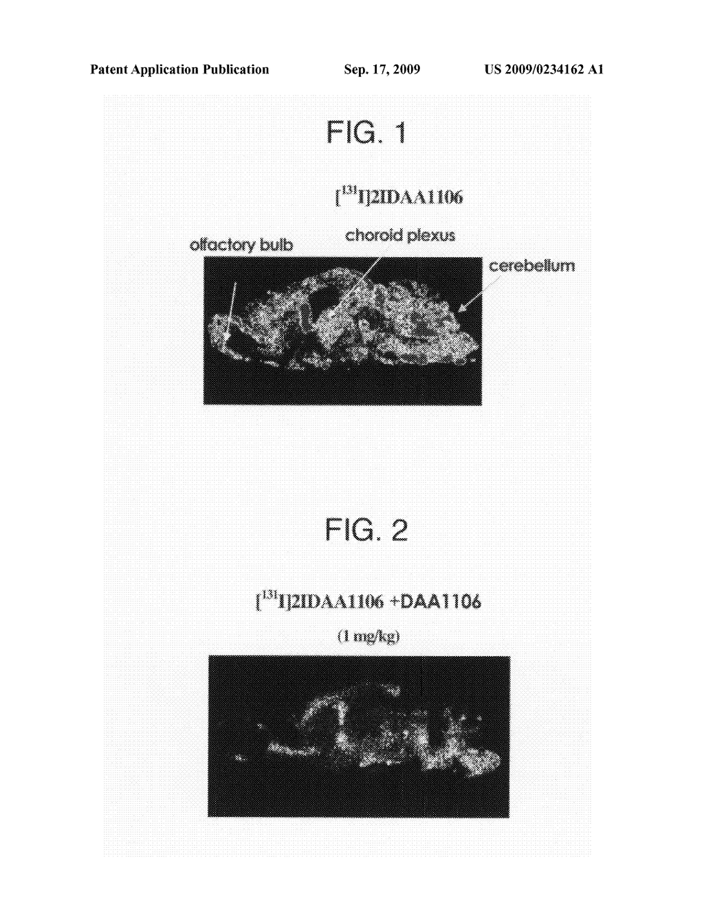 Radioactive Halogen-Labeled Phenyloxyaniline Derivatives - diagram, schematic, and image 02