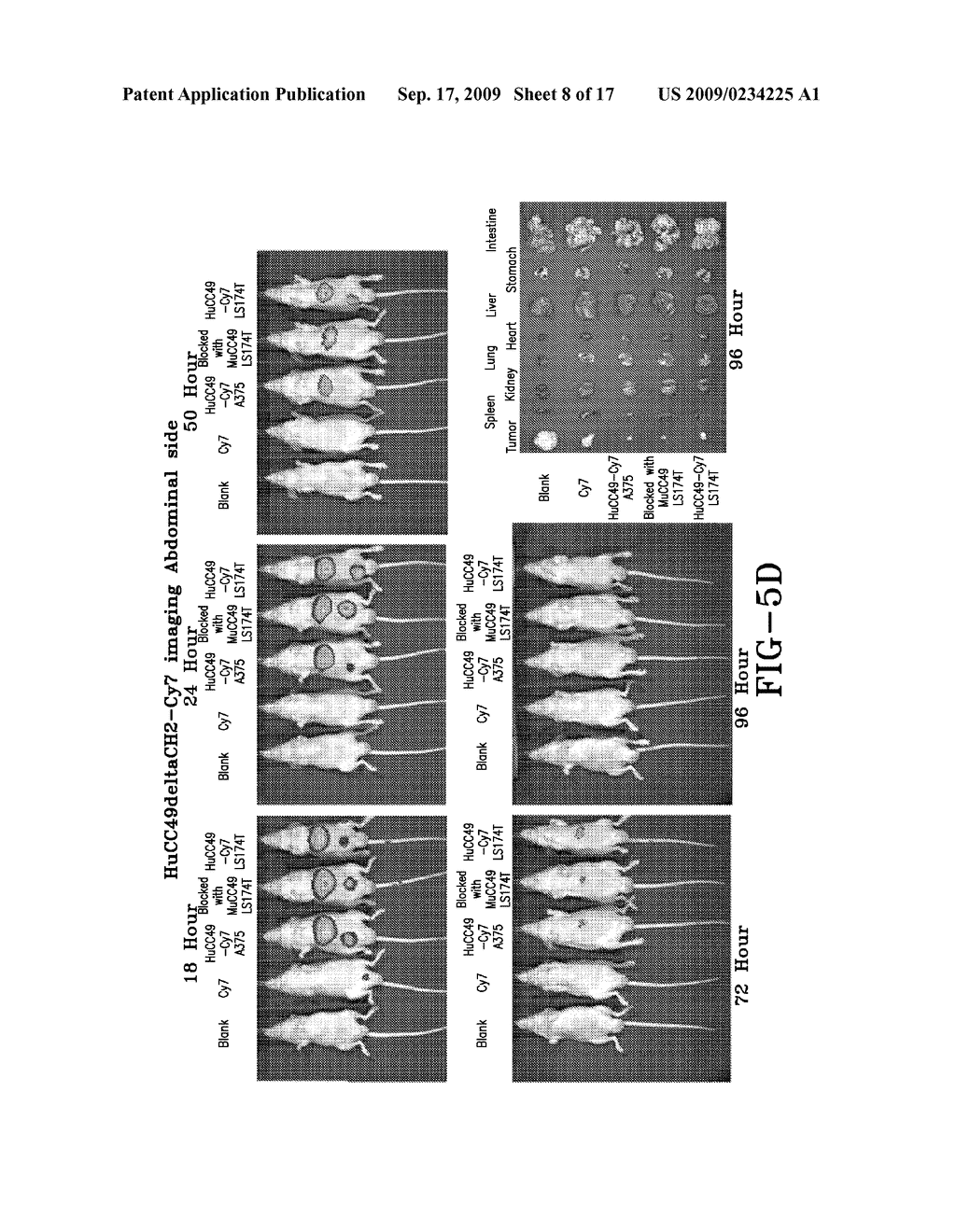 FLUORESCENCE DETECTION SYSTEM - diagram, schematic, and image 09