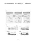 MICRORNA DETECTION diagram and image