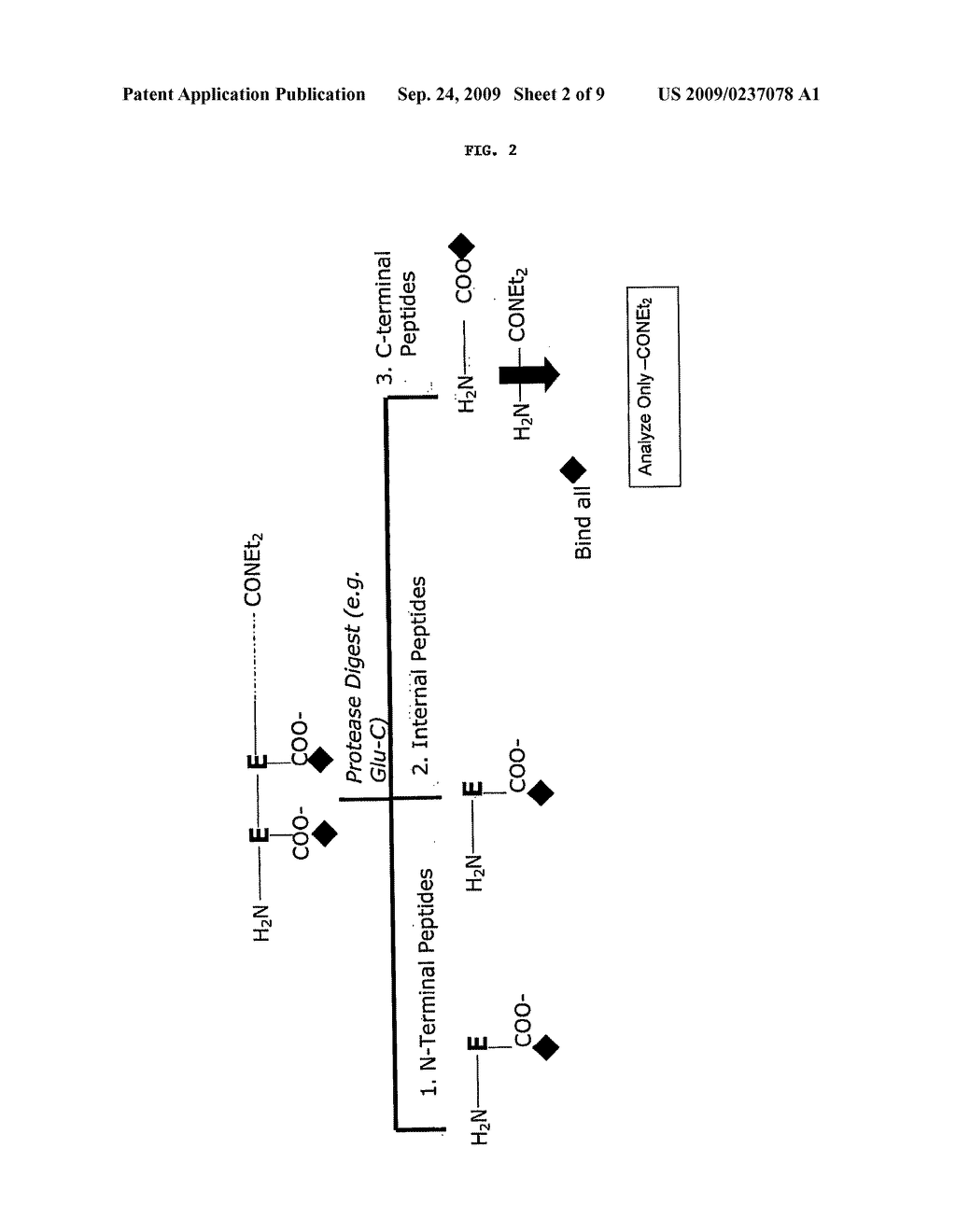 METHODS OF EVALUATING PEPTIDE MIXTURES - diagram, schematic, and image 03