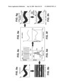  METHOD AND AN APPARATUS FOR LOCALIZATION OF SINGLE DYE MOLECULES IN THE FLUORESCENT MICROSCOPY diagram and image