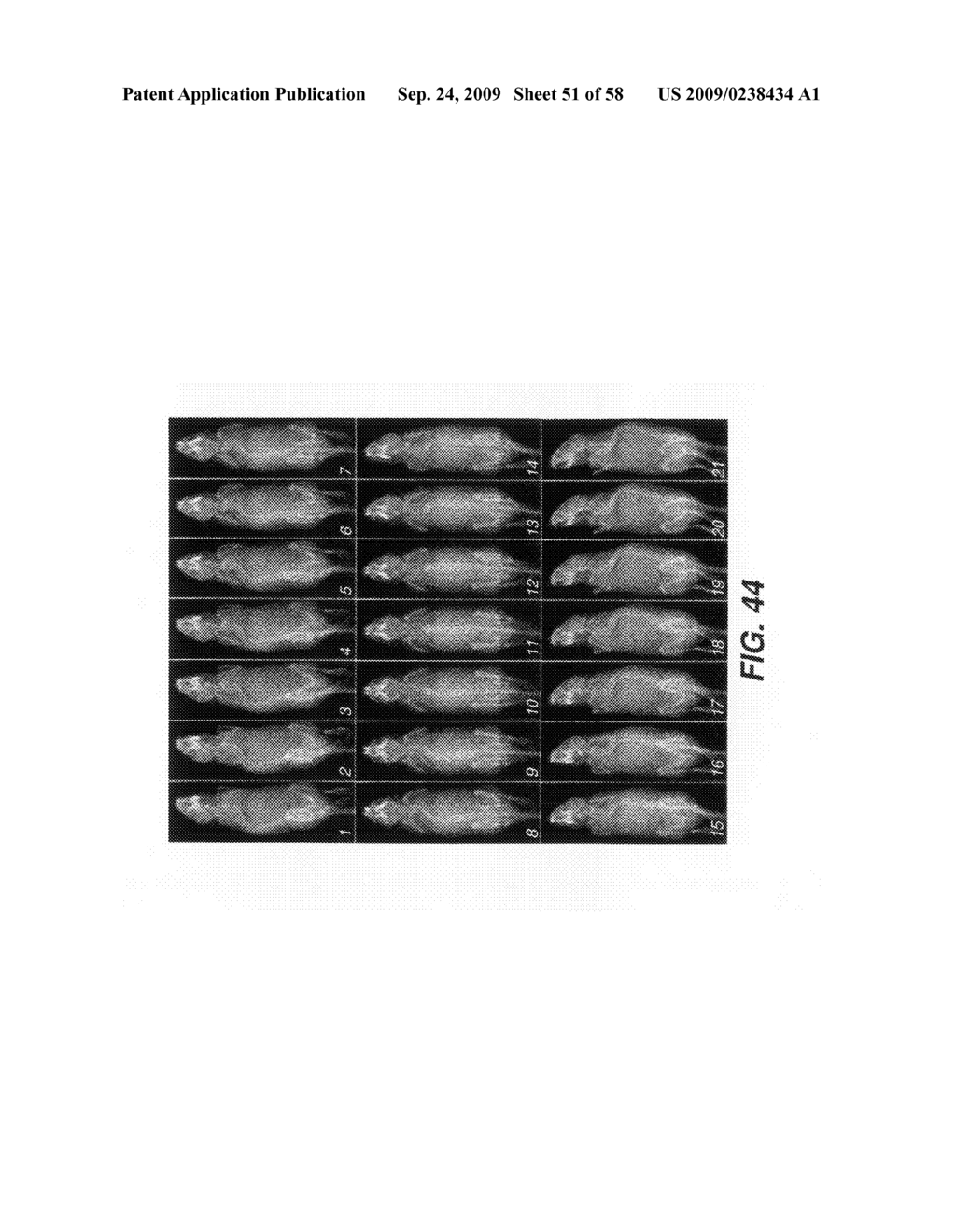 Method for reproducing the spatial orientation of an immobilized subject in a multi-modal imaging system - diagram, schematic, and image 52