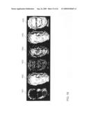 Method and Apparatus for Absolute-Coordinate Three-Dimensional Surface Imaging diagram and image