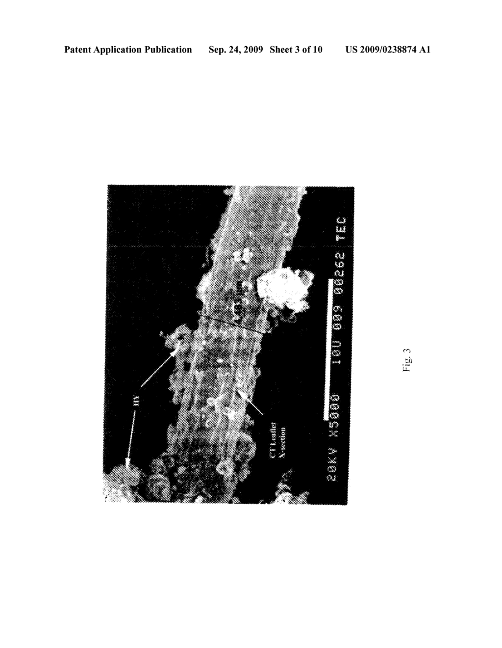 BIOMIMETIC COMPOSITION REINFORCED BY A POLYELECTROLYTIC COMPLEX OF HYALURONIC ACID AND CHITOSAN - diagram, schematic, and image 04