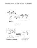 Chitosan or Hyaluronic Acid-Poly(Ethylene Oxide)-and Chitosan-Hyaluronic Acid-Poly(Ethylene Oxide)-Based Hydrogel and Manufacturing Method Therefor diagram and image