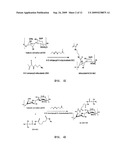 Chitosan or Hyaluronic Acid-Poly(Ethylene Oxide)-and Chitosan-Hyaluronic Acid-Poly(Ethylene Oxide)-Based Hydrogel and Manufacturing Method Therefor diagram and image