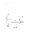 Chitosan or Hyaluronic Acid-Poly(Ethylene Oxide)-and Chitosan-Hyaluronic Acid-Poly(Ethylene Oxide)-Based Hydrogel and Manufacturing Method Therefor diagram and image