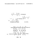 Chitosan or Hyaluronic Acid-Poly(Ethylene Oxide)-and Chitosan-Hyaluronic Acid-Poly(Ethylene Oxide)-Based Hydrogel and Manufacturing Method Therefor diagram and image