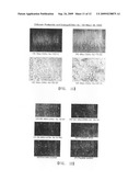 Chitosan or Hyaluronic Acid-Poly(Ethylene Oxide)-and Chitosan-Hyaluronic Acid-Poly(Ethylene Oxide)-Based Hydrogel and Manufacturing Method Therefor diagram and image