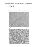 PLATE-LIKE POLYCRYSTALLINE PARTICLE diagram and image
