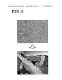 PLATE-LIKE POLYCRYSTALLINE PARTICLE diagram and image