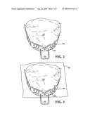 Custom fit dental tray and method for making same diagram and image