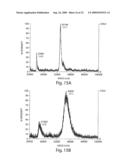 Clonable Tag for Purification and Electron Microscopy Labeling diagram and image