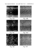 Clonable Tag for Purification and Electron Microscopy Labeling diagram and image