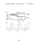 MODULATORS OF PROTEIN PHOSPHATASE 2A AND PP2A METHYL ESTERASE diagram and image