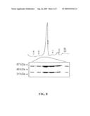 MODULATORS OF PROTEIN PHOSPHATASE 2A AND PP2A METHYL ESTERASE diagram and image