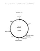 Fungal Transcriptional Activator Useful In Methods for Producing Polypeptides diagram and image