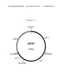 Fungal Transcriptional Activator Useful In Methods for Producing Polypeptides diagram and image