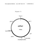 Fungal Transcriptional Activator Useful In Methods for Producing Polypeptides diagram and image