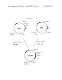 Fungal Transcriptional Activator Useful In Methods for Producing Polypeptides diagram and image