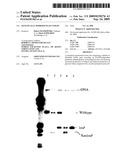 GENETICALLY MODIFIED YEAST STRAIN diagram and image