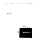 GENETICALLY MODIFIED YEAST STRAIN diagram and image