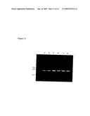 GENETICALLY MODIFIED YEAST STRAIN diagram and image