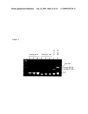 GENETICALLY MODIFIED YEAST STRAIN diagram and image