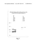 Compositions and Methods for Modifying Cell Surface Glycans diagram and image