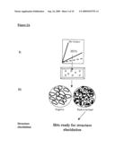 Identification of Compounds Modifying A Cellular Response diagram and image