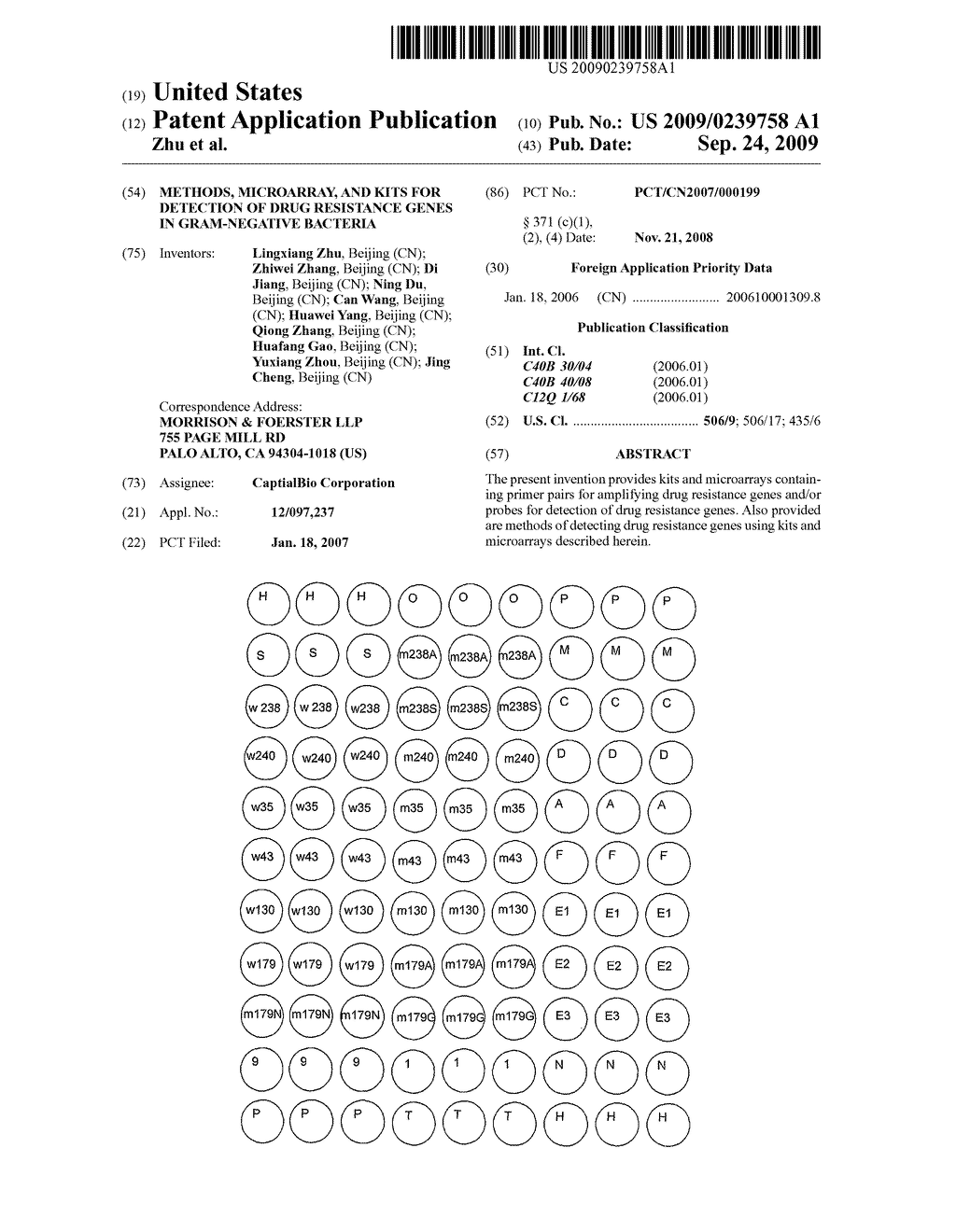 METHODS, MICROARRAY, AND KITS FOR DETECTION OF DRUG RESISTANCE GENES IN GRAM-NEGATIVE BACTERIA - diagram, schematic, and image 01